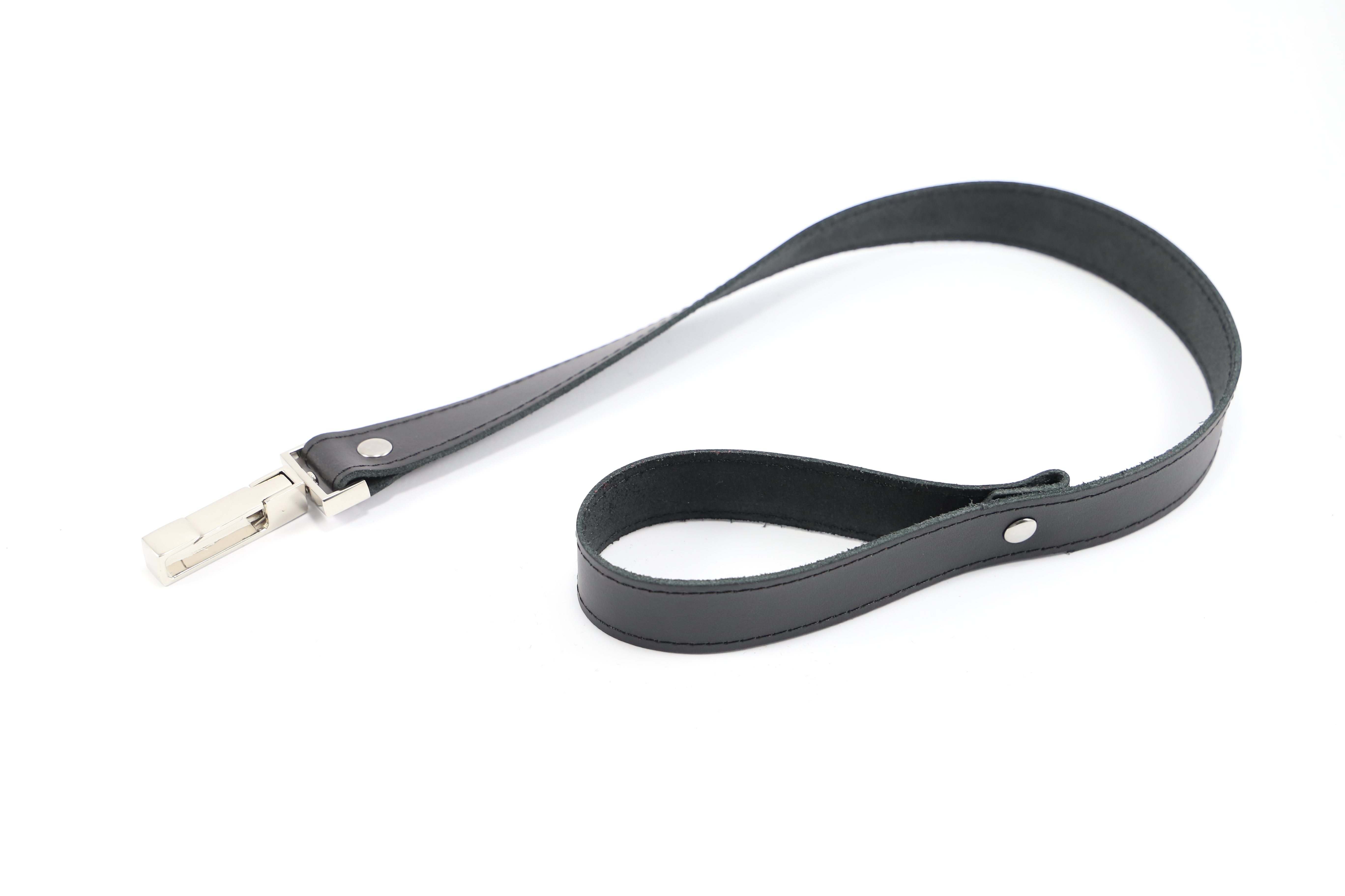 Leine mit spezial Karabiner